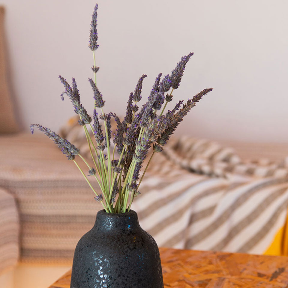 Διακοσμητικά στοιχεία στο Artemaki house στον Αρτεμώνα της Σίφνου